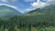 Карпати / Фото: Facebook Oleksandr Kit