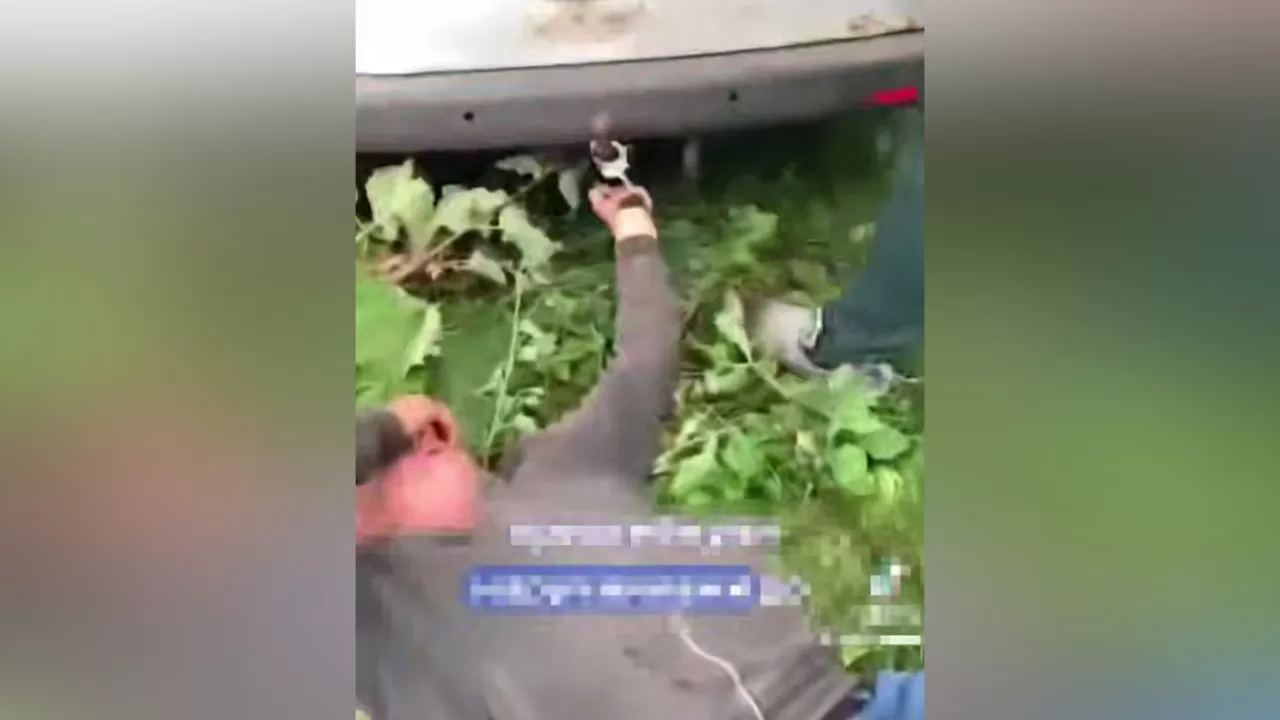 Прикутий до автівки чоловік / Скриншот