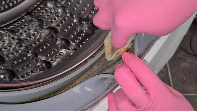 Очищення манжети люка