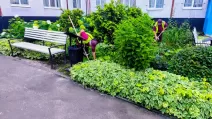 Работники Шевченковского филиала «Благоустройство» КП «Шляхрембуд» ежедневно заботятся о чистоте дворов более 700 многоквартирных домов, а также поддерживают в надлежащем состоянии территории вдоль дорог / Фото: пресс-служба Харьковского горсовета