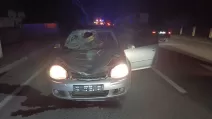 В Самборе Volkswagen Golf насмерть сбил жителя Харькова / Фото: Нацполиция