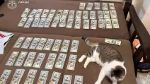Изъятые во время обысков деньги / Фото: Офис генпрокурора