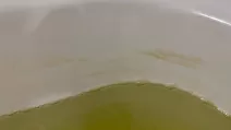 В Харькове объяснили изменение цвета воды после разрушения гидроузла в РФ / Фото: Суспільне Харків/Валерия Емец