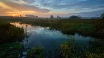 Ілюстративне фото: Сергій Козлов/Facebook