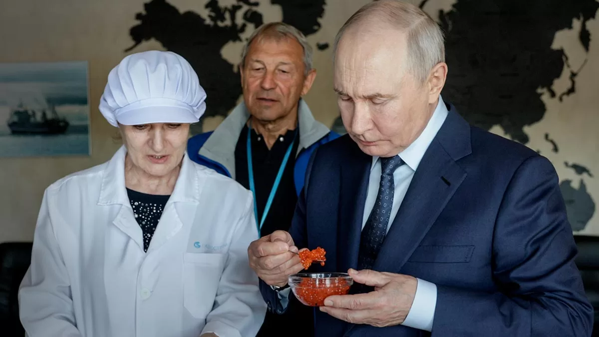 Владимир Путин во время посещения рыбоперерабатывающего комбината «Ясный» на острове Итуруп / Фото: ТАСС