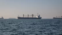 Dry bulk cargo vessels in the Black Sea / Photo: Bloomberg