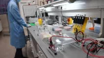 Russian virology laboratory / Illustrative photo: Russian media