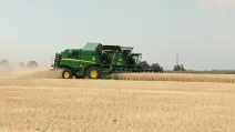 Жнива на Харківщині / Фото: Харківська ОВА