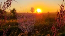 Волинь / Фото: Facebook Світлана Колбун