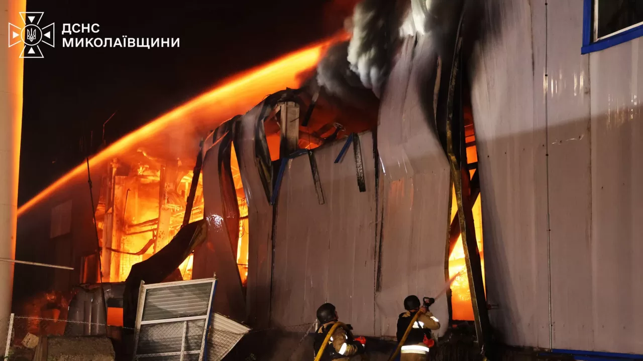 Пожар на складе предприятия пищевой промышленности в Николаевской области / Фото: ГСЧС