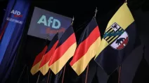 Флаги Германии и Саксонии-Анхальт на мероприятии ультраправой партии "Альтернатива для Германии" (AfD) / Фото: Bloomberg