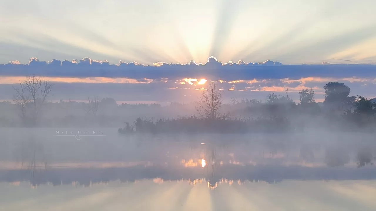 Світанок на озері в Бучі / Фото: Facebook Mila Harbar