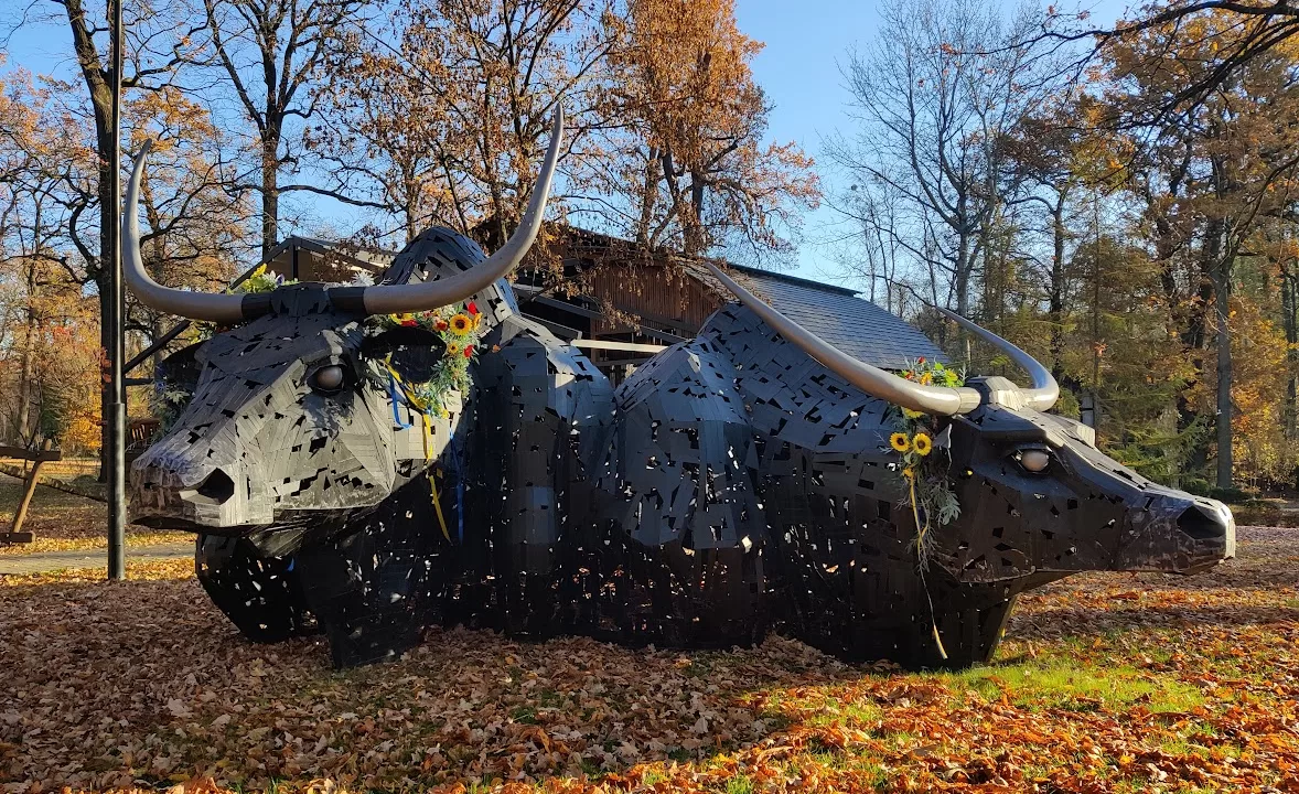 Осень во Львовской области / Фото: "Головне в Україні"