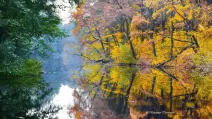 Річка Грунь. Полтавщина / Фото: Facebook Володимир Тертишник