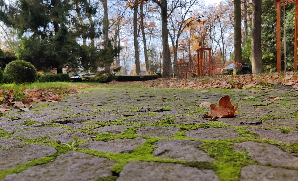 Осенний парк во Львовской области / Фото: Головне в Україні 