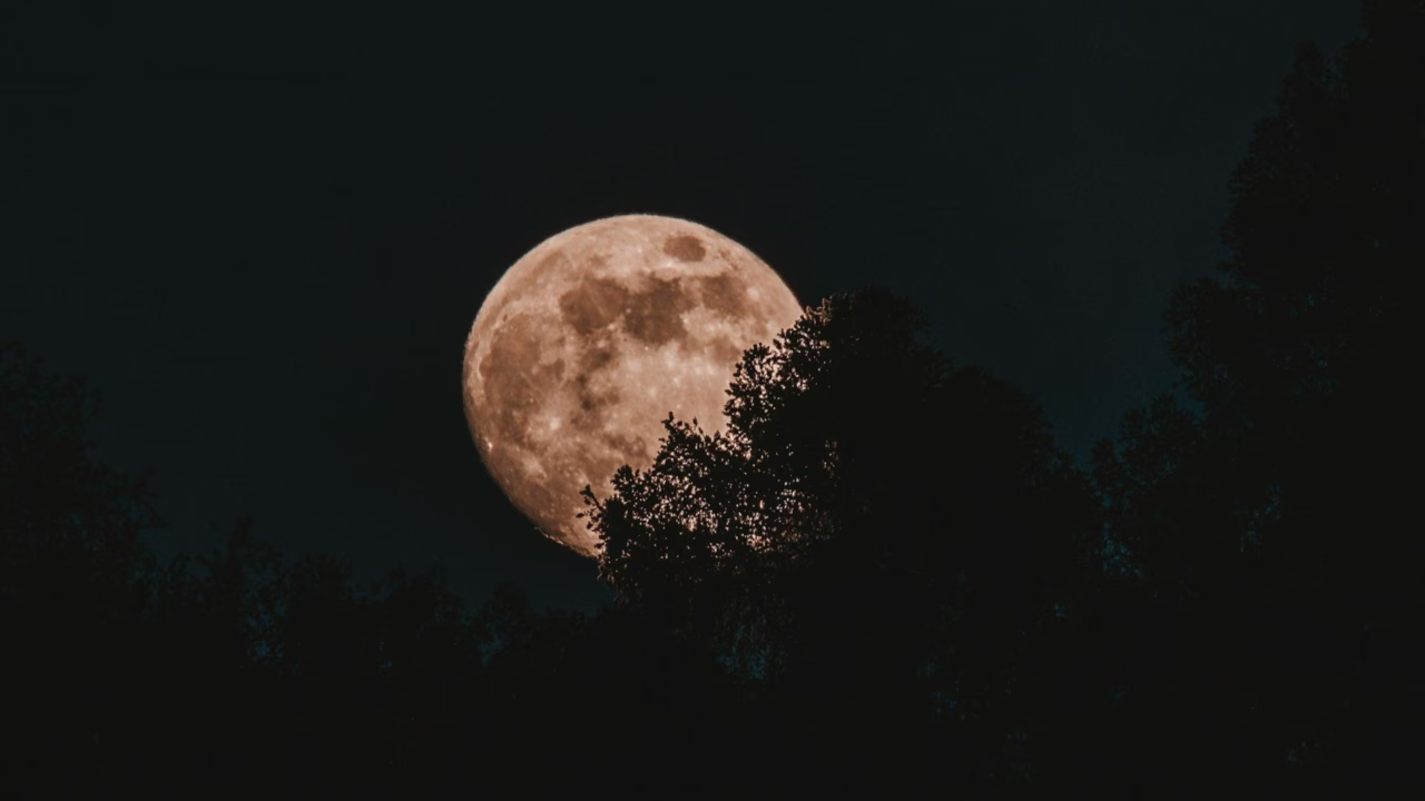 Полная Луна / Иллюстративное фото: Luke Miller / Unsplash